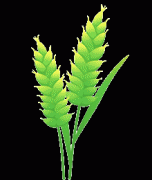 良田膏壤米粮川——焦做市推进高尺度农田扶植