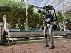 <b>山东寿光“耕具”上新了！</b>